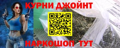 молекула духа Будённовск