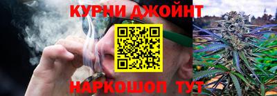 молекула духа Будённовск