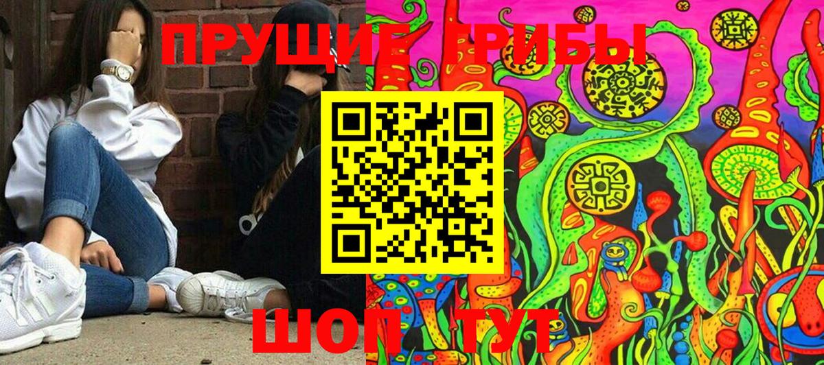 Псилоцибиновые грибы MAGIC MUSHROOMS  Вход с VPN  Людиново 